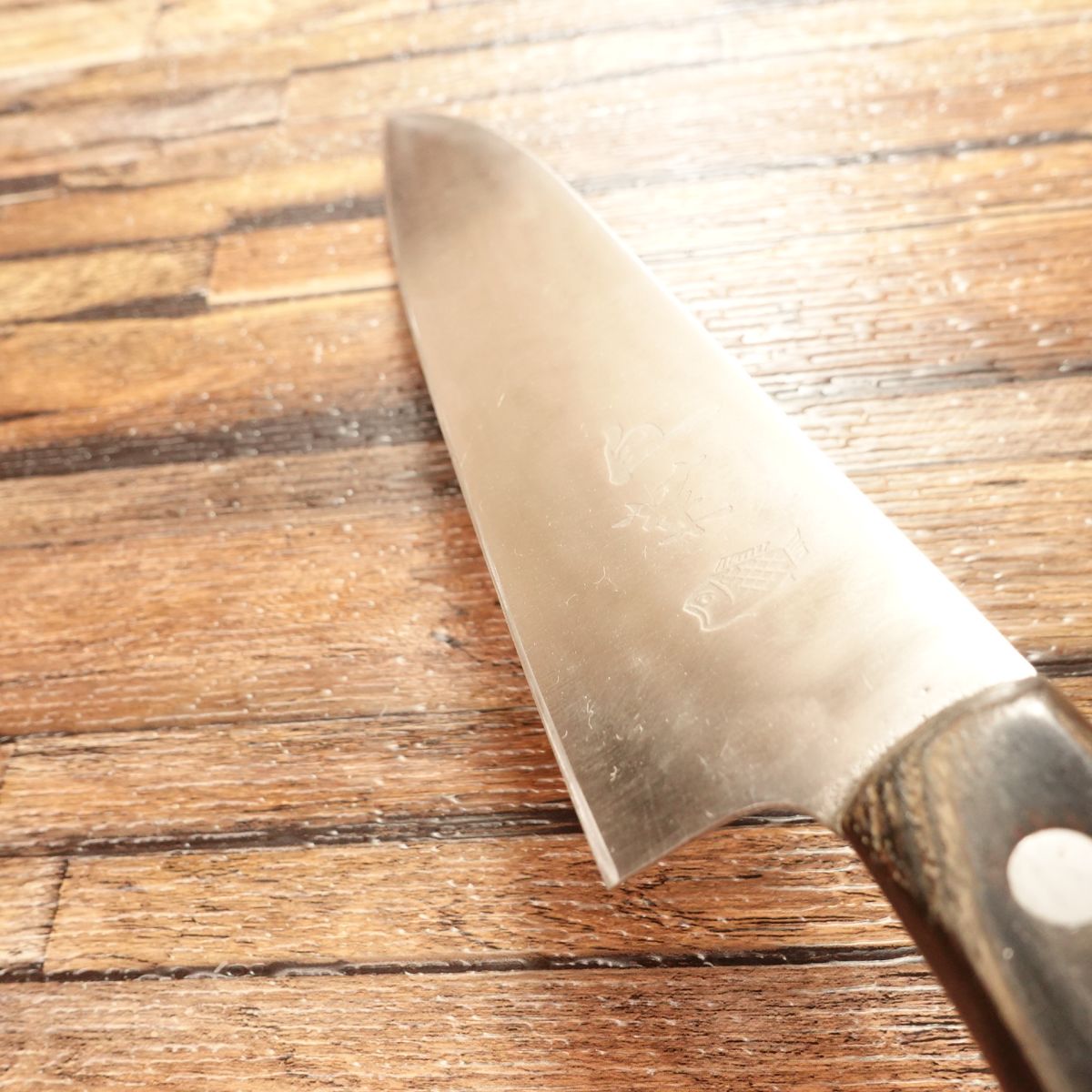 Hakuka Gyuto Knife, Sharpened, All-Purpose Knife, Stainless Steel, Fish Logo