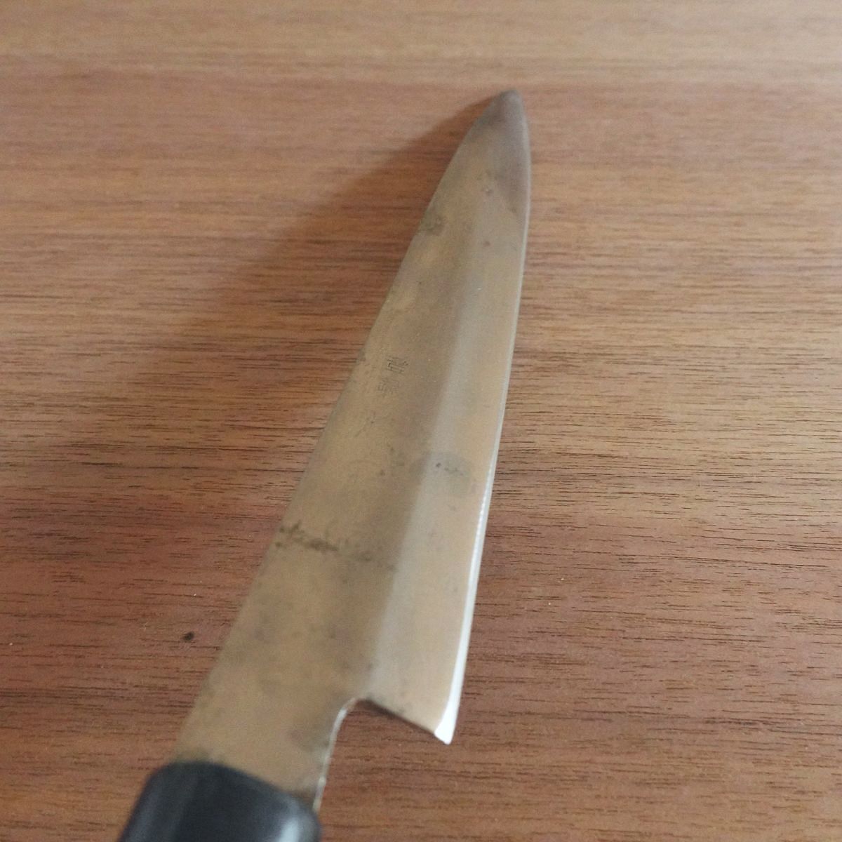 Togoro Yanagiba Knife, Sharpened, Sashimi Knife, Single-Edged, Hagane, 220mm