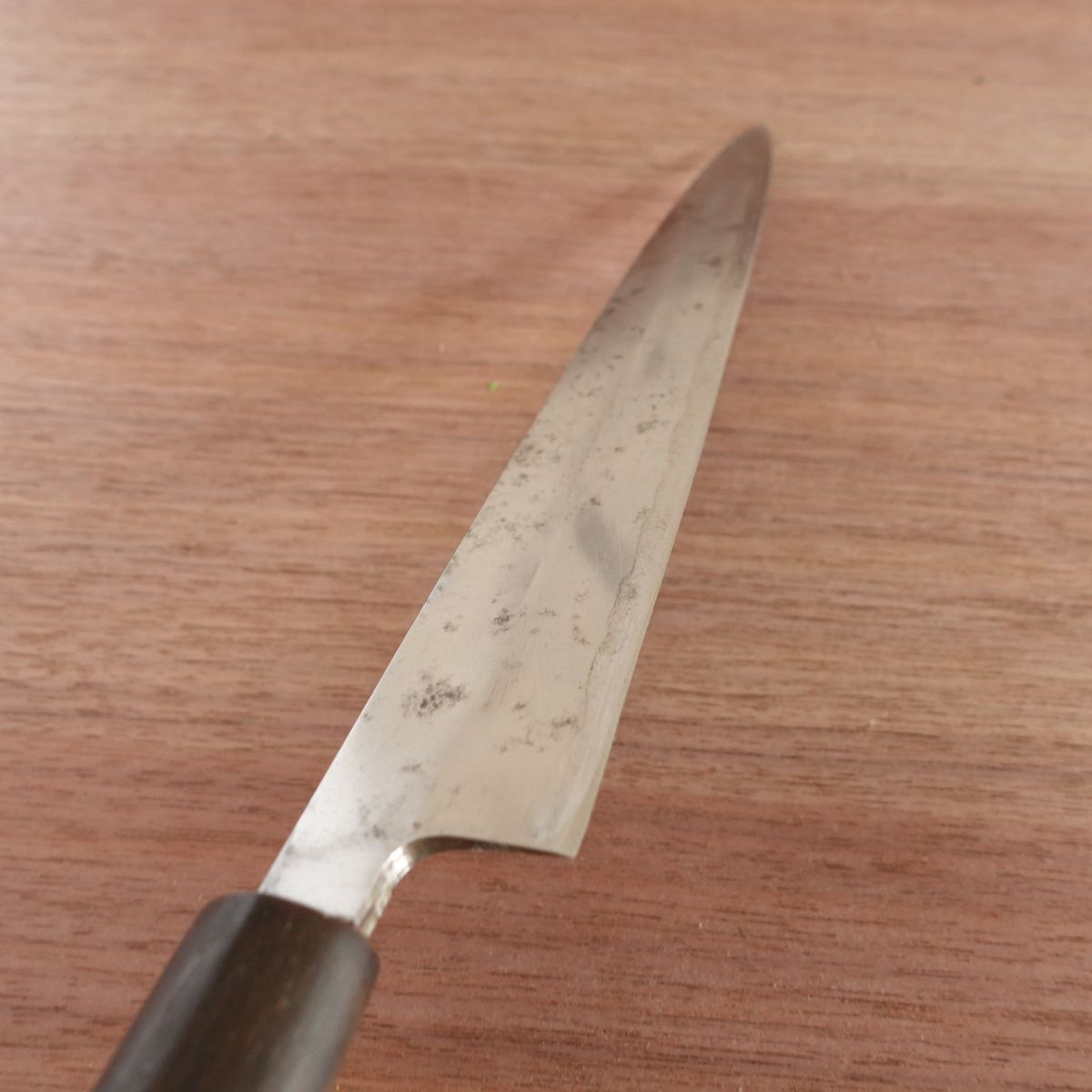 Sakai Sadamune Yanagiba Knife, Sharpened, Water Buffalo Handle, Custom Forged, Sashimi Knife, With Sakura Sticker, 240mm