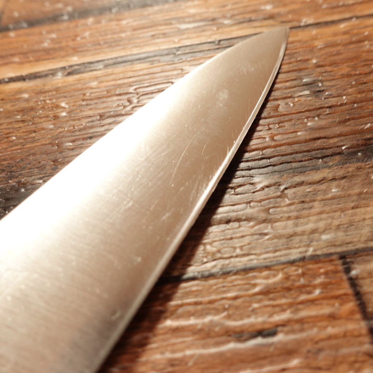 Seki Kagefusa Petty Knife, Sharpened, Fruit Knife, Stainless Steel, 120mm