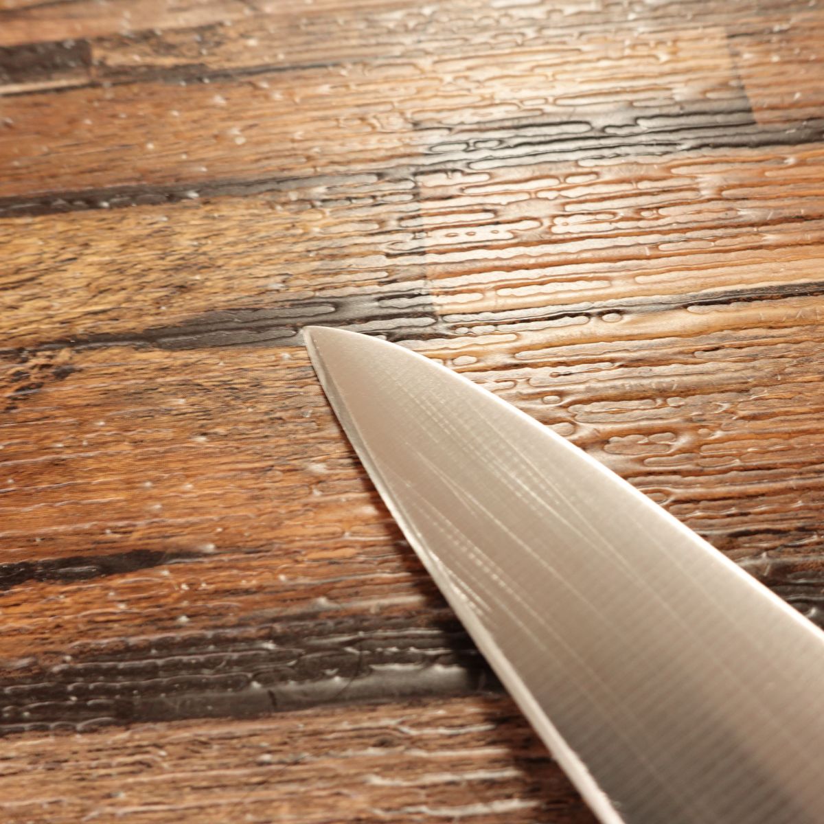 Tsuneyoshi Petty Knife, Sharpened, Fruit Knife, Daimonya Tsuneyoshi, Stainless Steel, 125mm