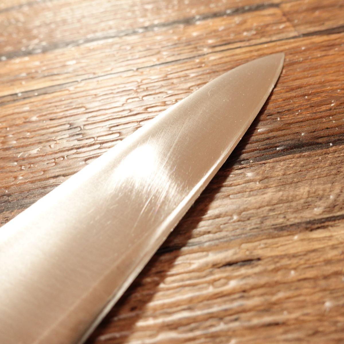 Tojiro-Pro Petty Knife, Sharpened, Fruit Knife, Composite, All-Stainless Steel, 150mm