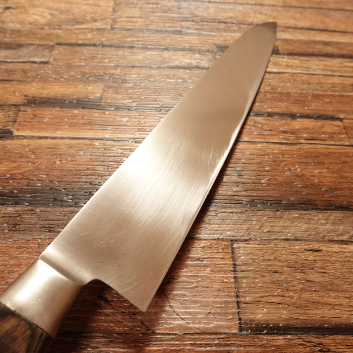 Tojiro Gyuto Knife, Sharpened, All-Purpose Knife, Stainless Steel SD, Made by Tojiro, 210mm