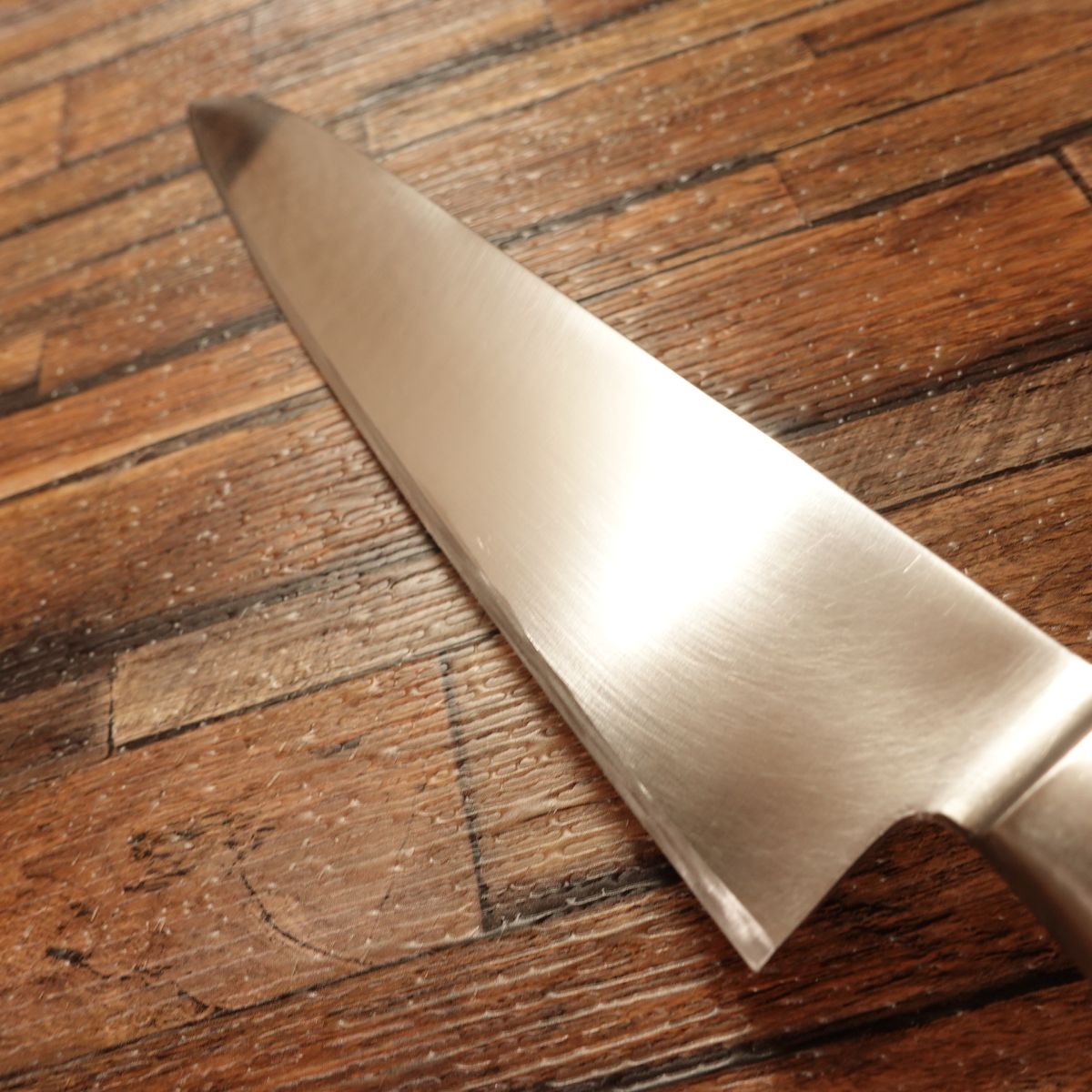 Tojiro Gyuto Knife, Sharpened, All-Purpose Knife, Stainless Steel SD, Made by Tojiro, 210mm