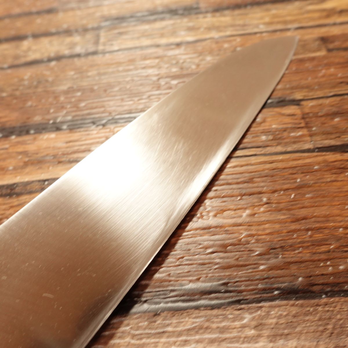 Tojiro Gyuto Knife, Sharpened, All-Purpose Knife, Stainless Steel SD, Made by Tojiro, 210mm