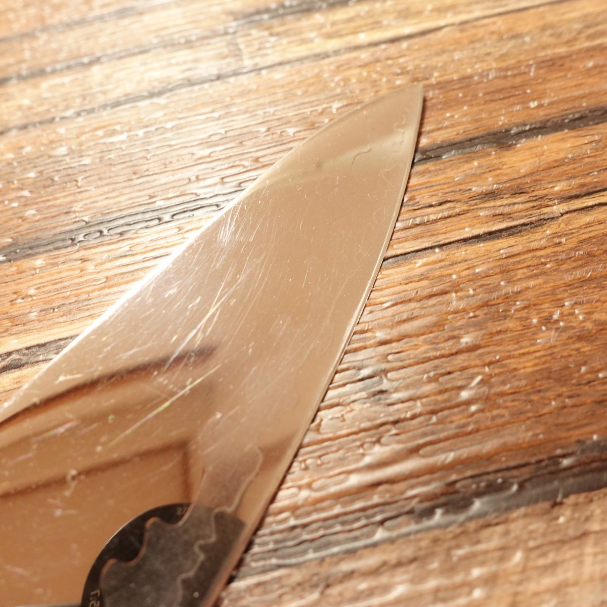 Shun SORA Gyuto Knife, Sharpened, KAI VG10, All-Purpose Knife, VB0723, 155mm