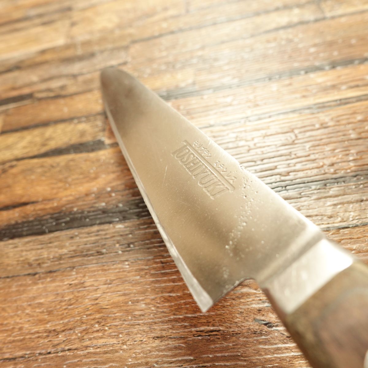 TOSHIYUKI Petty Knife, Sharpened, Stainless Steel, Molybdenum, Fruit Knife, 150mm