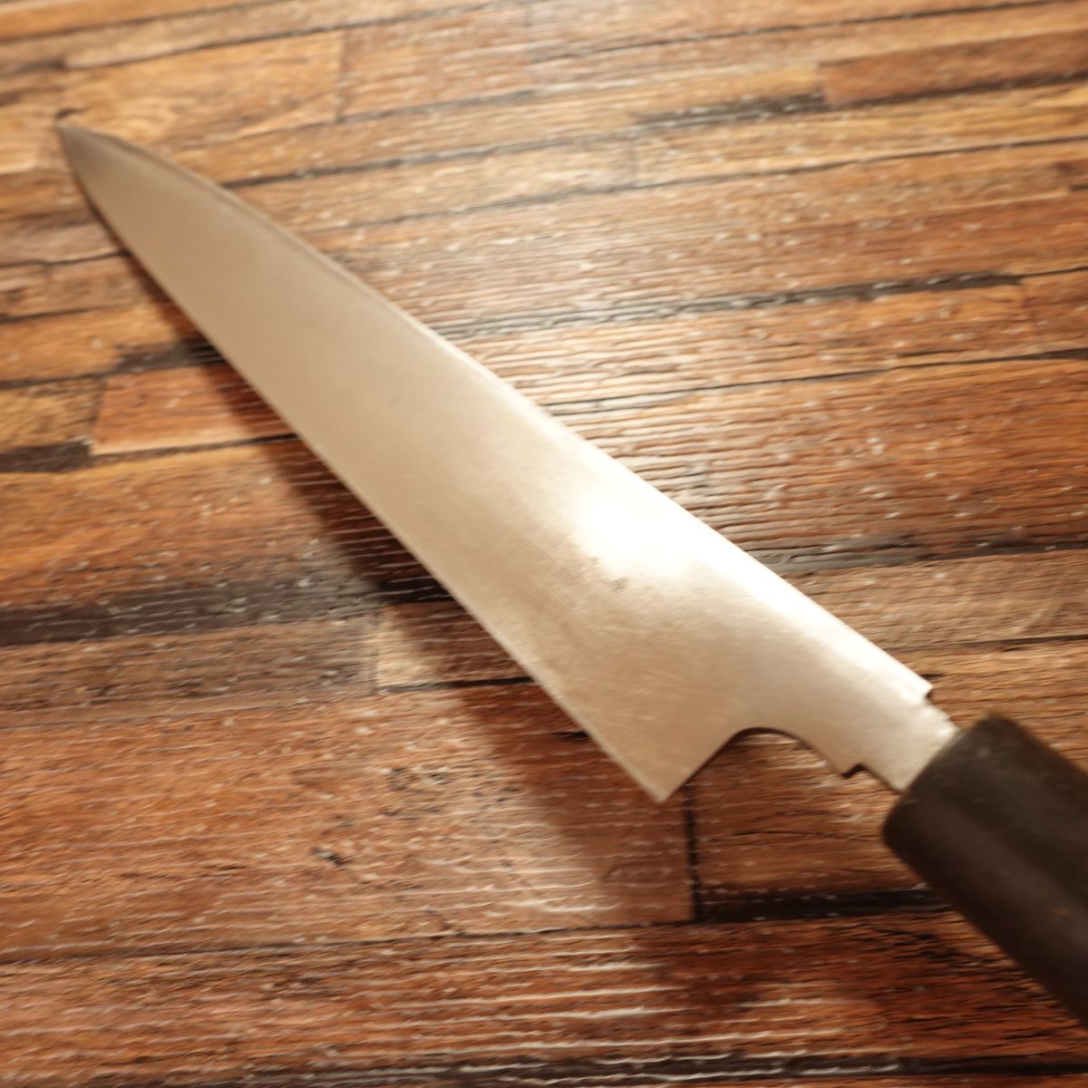 Sugimoto Yanagiba Knife, Sharpened, Water Buffalo Handle, 8-Sun, Single-Bevel, 240mm