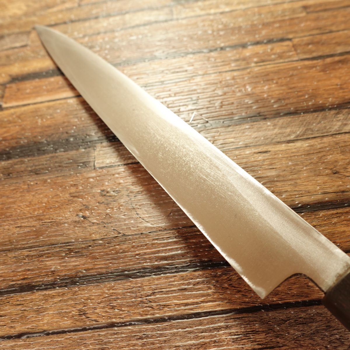 Takeaki Yanagiba Knife, Sharpened, Water Buffalo Handle, Sashimi Knife, Betsuuchi, Hagane Steel, 245mm