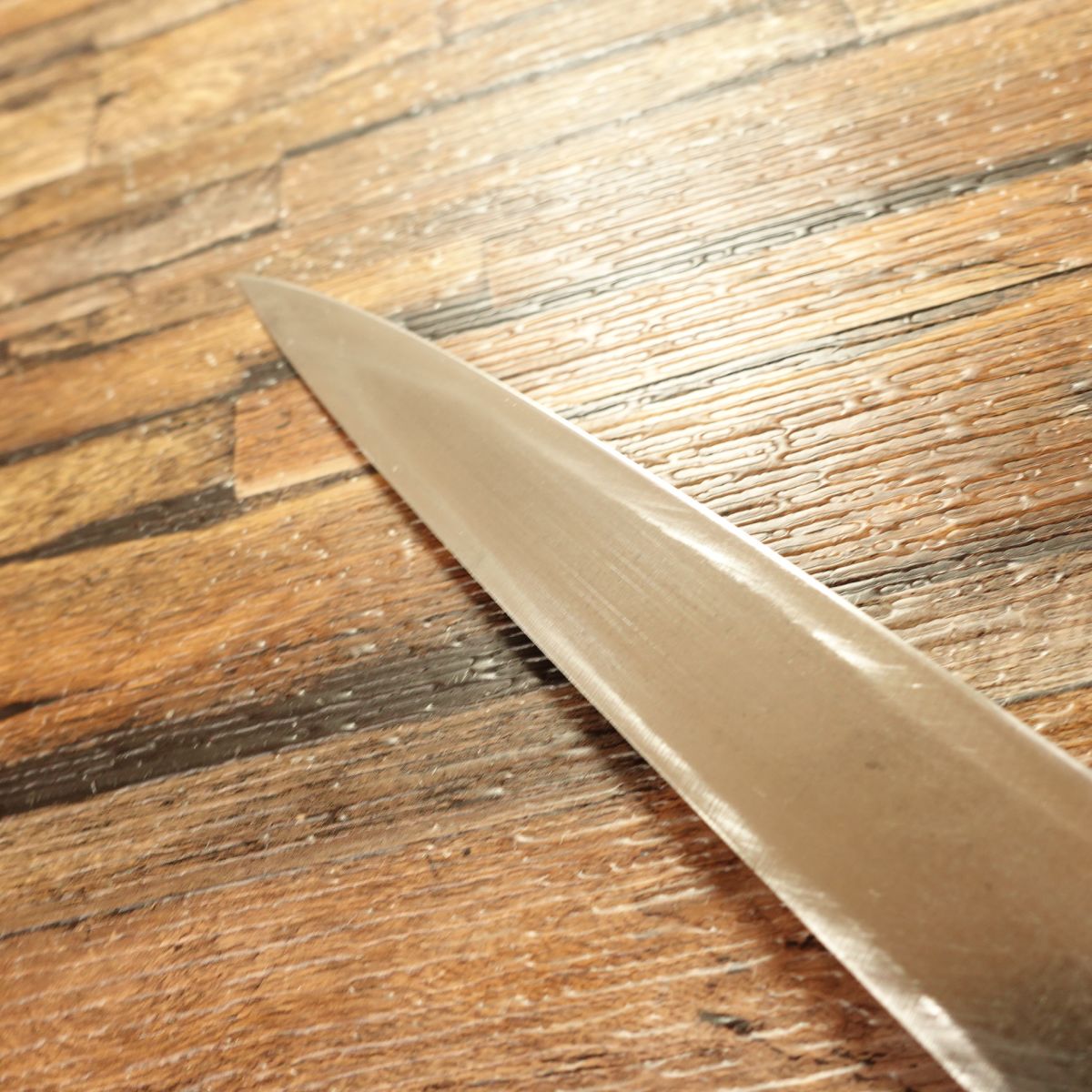 Takeaki Yanagiba Knife, Sharpened, Water Buffalo Handle, Sashimi Knife, Betsuuchi, Hagane Steel, 245mm