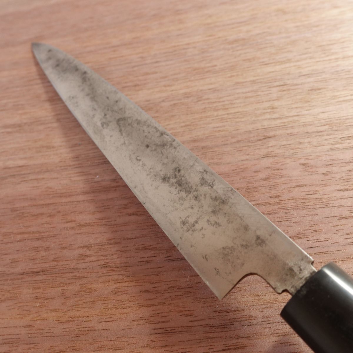 Sakai Ichiji Yanagiba Knife, Sharpened, Water Buffalo Handle, Sashimi Knife, Hagane Steel, 210mm