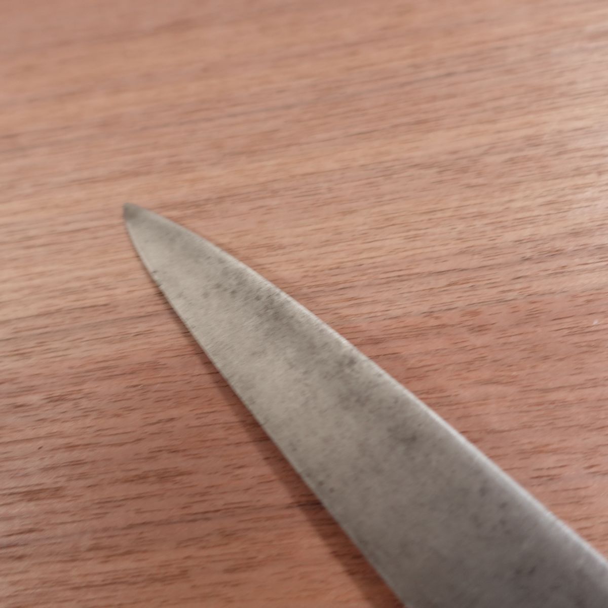 Sakai Shugaku Yanagiba Knife, Sharpened, Sashimi Knife, Carbon Steel, Single Bevel, 235mm