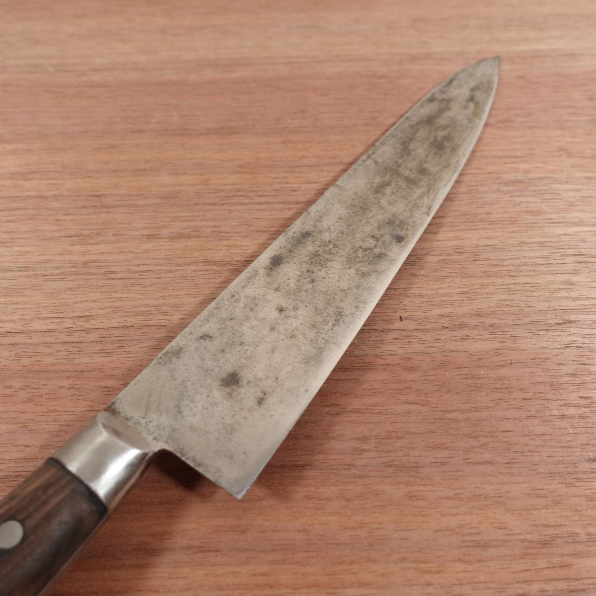 Minamoto Takahisa Chef's Knife, Sharpened, Japanese Steel, All-Purpose Knife, SK, 250mm