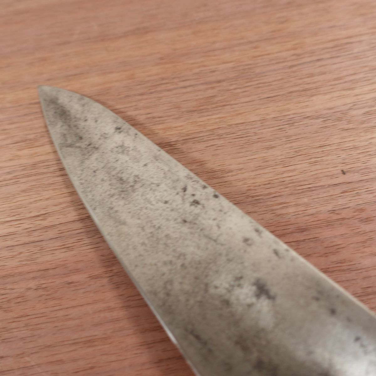 Minamoto Takahisa Chef's Knife, Sharpened, Japanese Steel, All-Purpose Knife, SK, 250mm