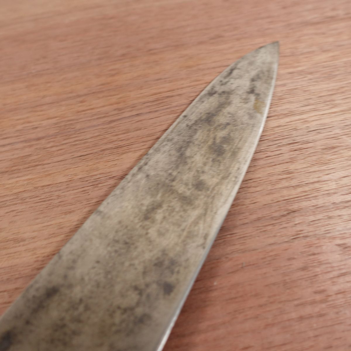 Minamoto Takahisa Chef's Knife, Sharpened, Japanese Steel, All-Purpose Knife, SK, 250mm