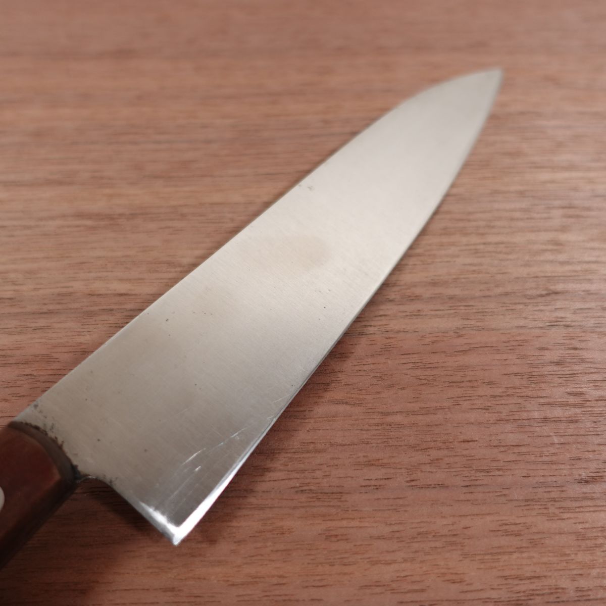 TOHO Gyuto Knife, Sharpened, Suehiro, All-Purpose Knife, Stainless Steel, TV Cooking Knife, 180mm