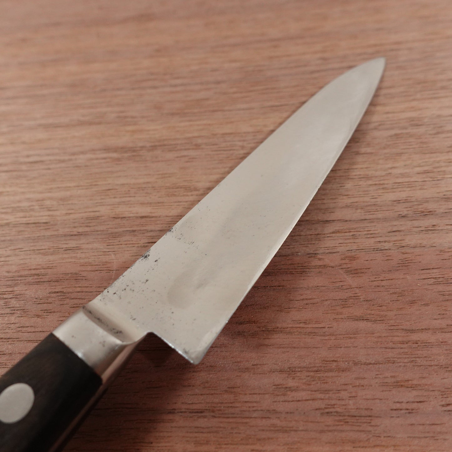 Kotobuki Petty Knife, Sharpened, Stainless Steel, Sakai Forged Blade, Fruit Knife, Green Steel #8, 120mm