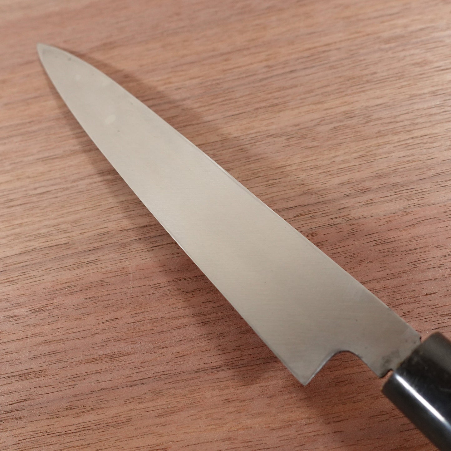 Kikuichimonji Yanagiba Knife, Sharpened, Water Buffalo Handle, Sashimi Knife, Special Make, Minimal Signs of Use, 215mm