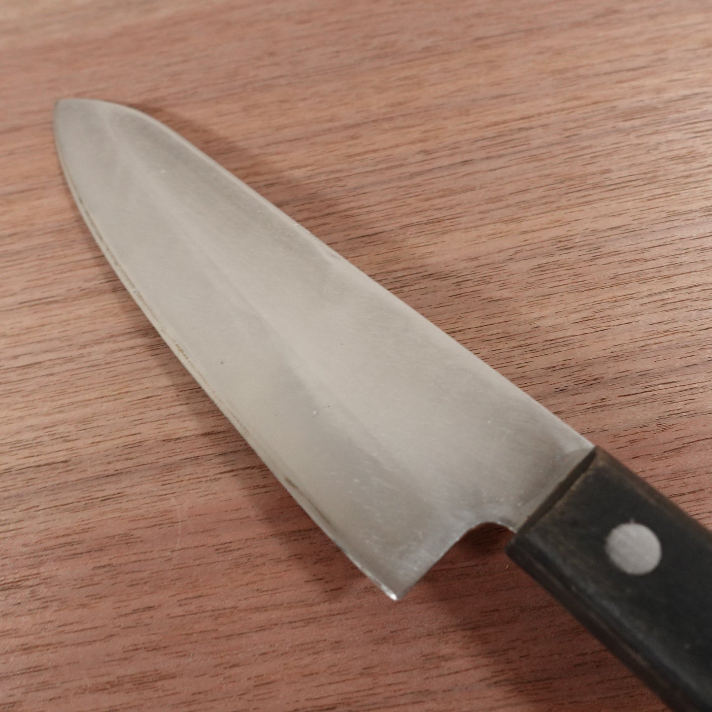 Sakai Juou Gyuto Messer, geschärft, Allzweckmesser, rostfreier Mantel, Sakai Juou, 170mm