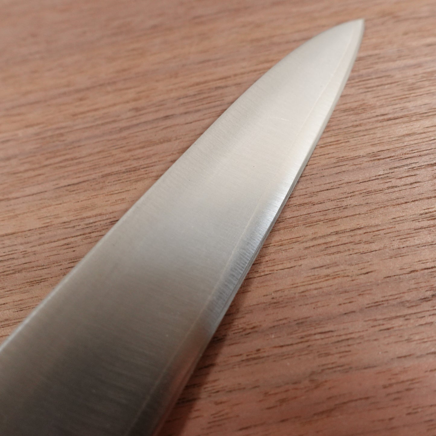 Tojiro Pro Sujihiki Knife, Sharpened, All Stainless Steel, DP, Slicer, 265mm