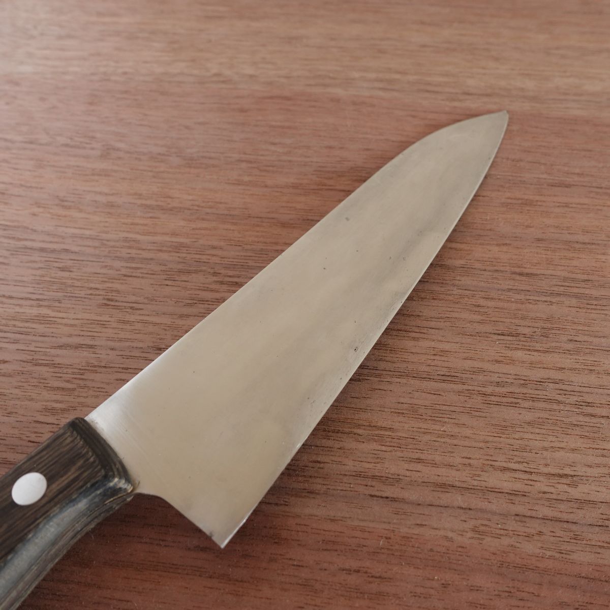 TS Madam Gyuto Knife, Sharpened, All-Purpose Knife, Stainless Molybdenum, Santoku Style, 175mm