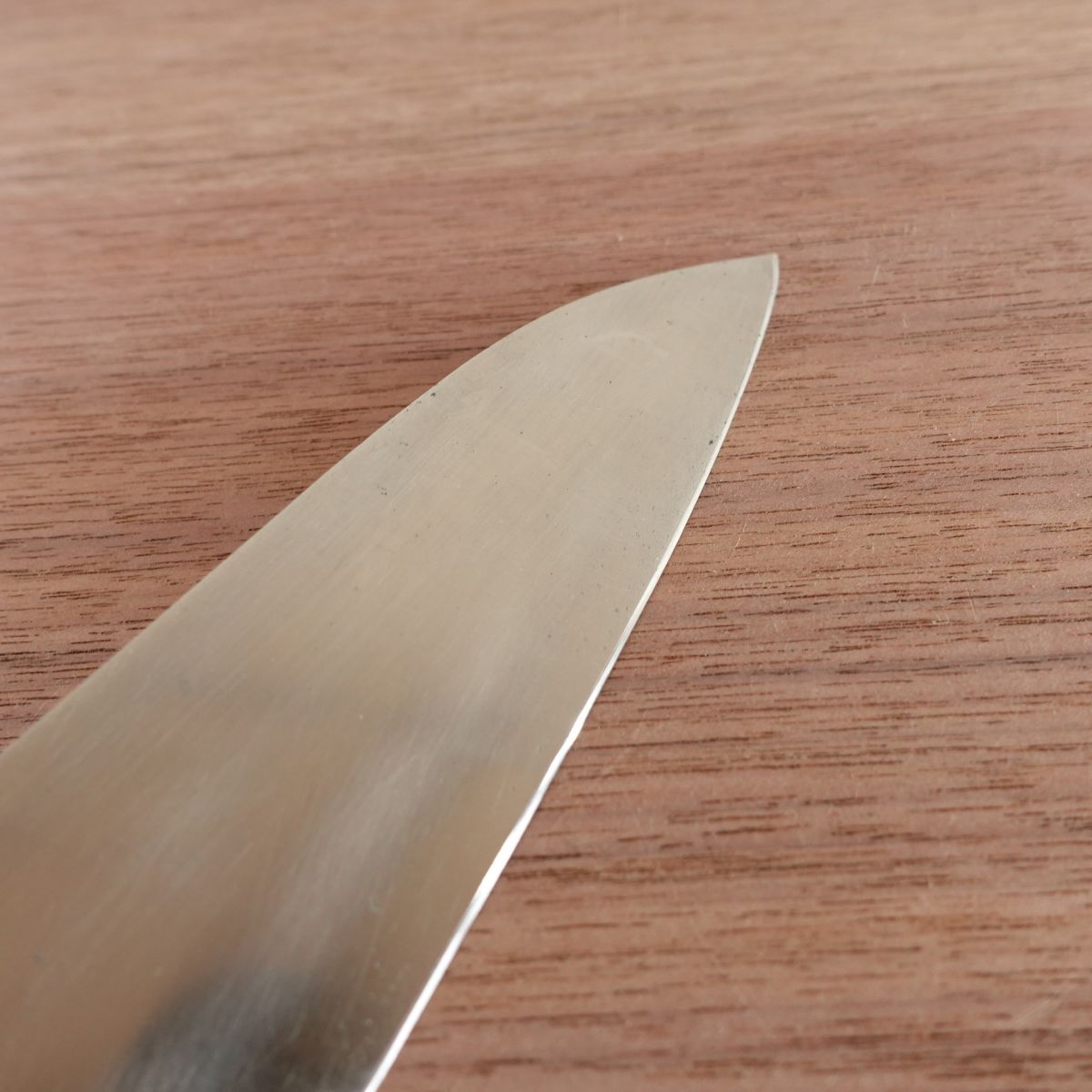 TS Madam Gyuto Knife, Sharpened, All-Purpose Knife, Stainless Molybdenum, Santoku Style, 175mm