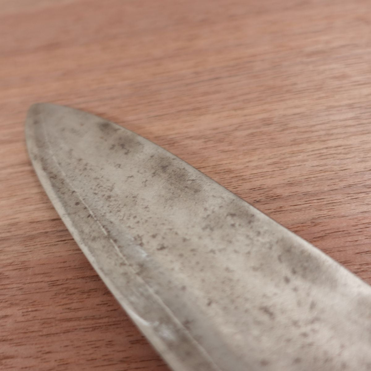 Sukehiro Wa-Gyuto Knife, Sharpened, All-Purpose Knife, Special, Carbon Steel, Tsuchime Pattern, 210mm