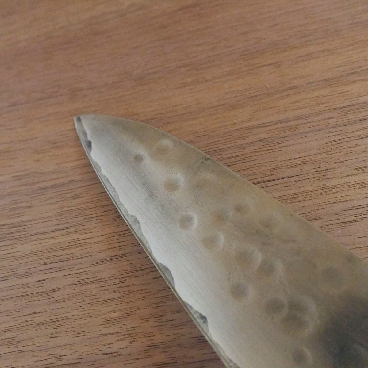 Teruyasu Fujiwara Gyuto Knife, Sharpened, Tsuchime Nashiji Finish, Maboroshi Series, Hon-Warikomi, 190mm