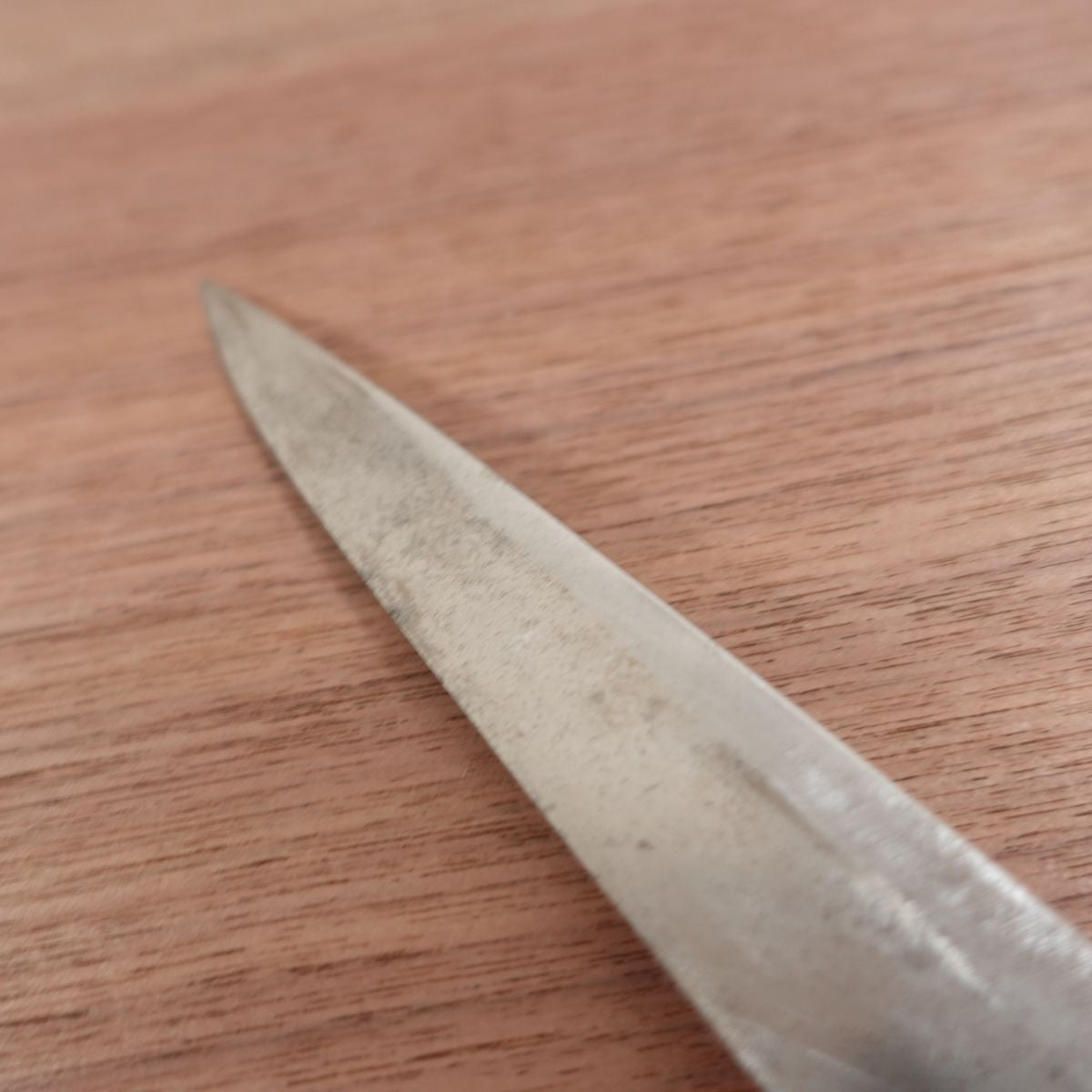 Blue Steel Yanagiba Knife, Sharpened, Sashimi Knife, Water Buffalo Handle, Yasuki Steel, 210mm