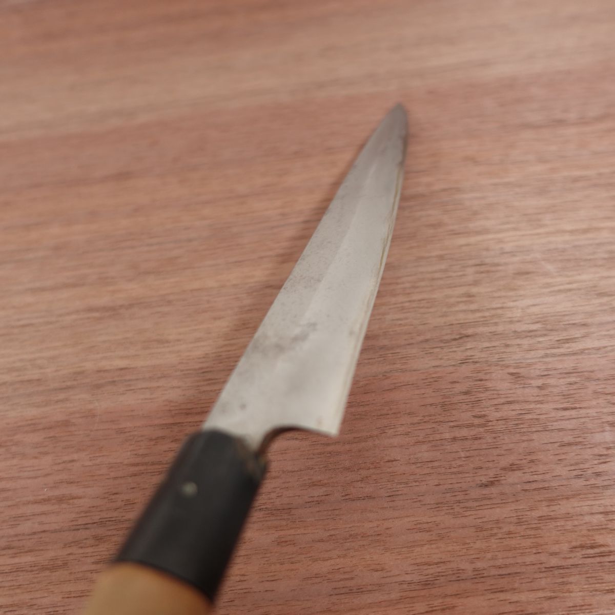Blue Steel Yanagiba Knife, Sharpened, Sashimi Knife, Water Buffalo Handle, Yasuki Steel, 210mm