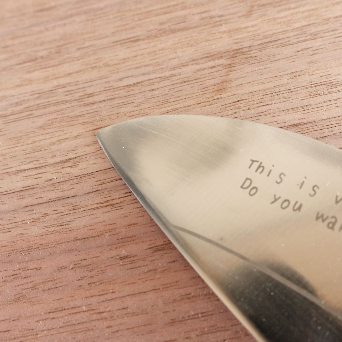 Mere Pere Santoku Knife, Sharpened, Cat Design, All Stainless Steel, All-Purpose Knife, 165mm