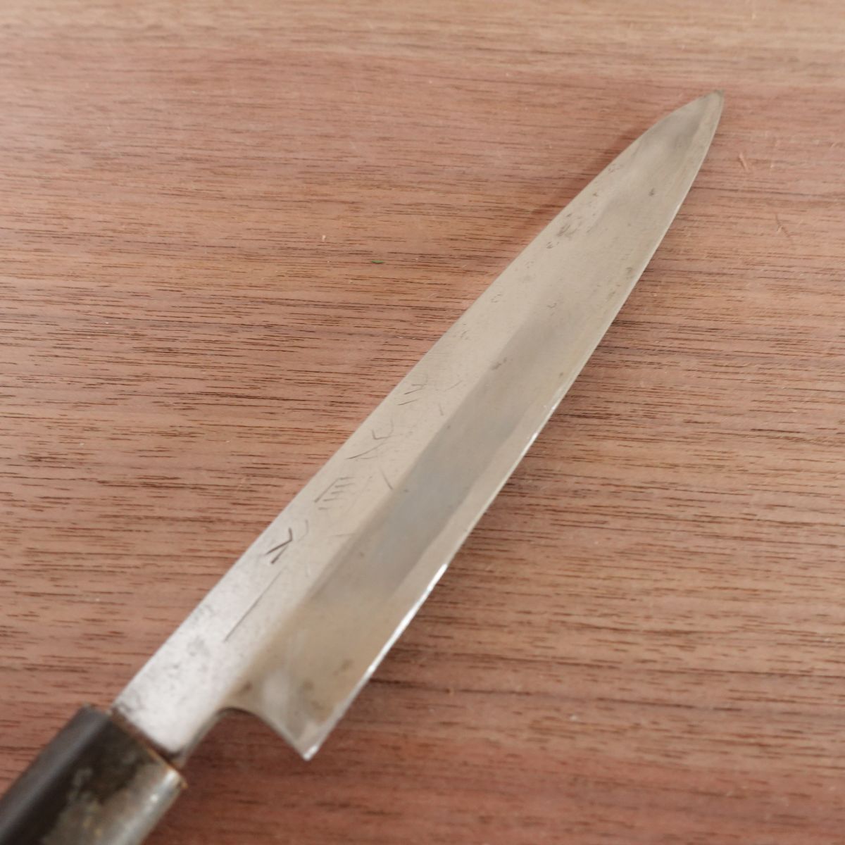 Sakai Tomokuni Yanagiba Knife, Sharpened, Water Buffalo Handle, Premium Sashimi Knife, 180mm