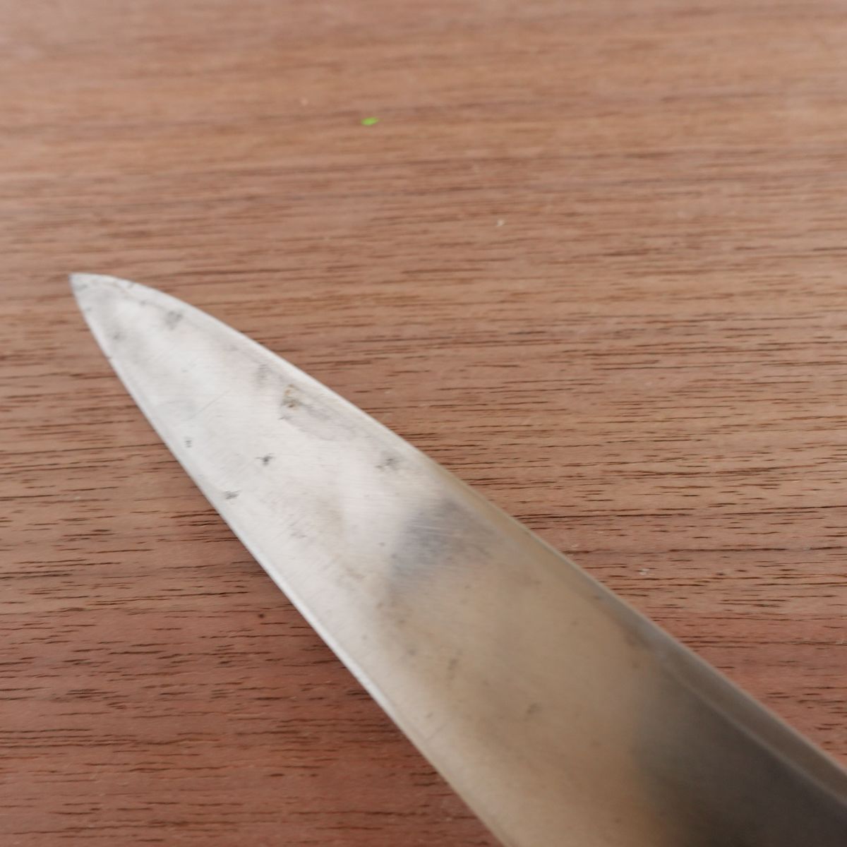 Sakai Tomokuni Yanagiba Knife, Sharpened, Water Buffalo Handle, Premium Sashimi Knife, 180mm