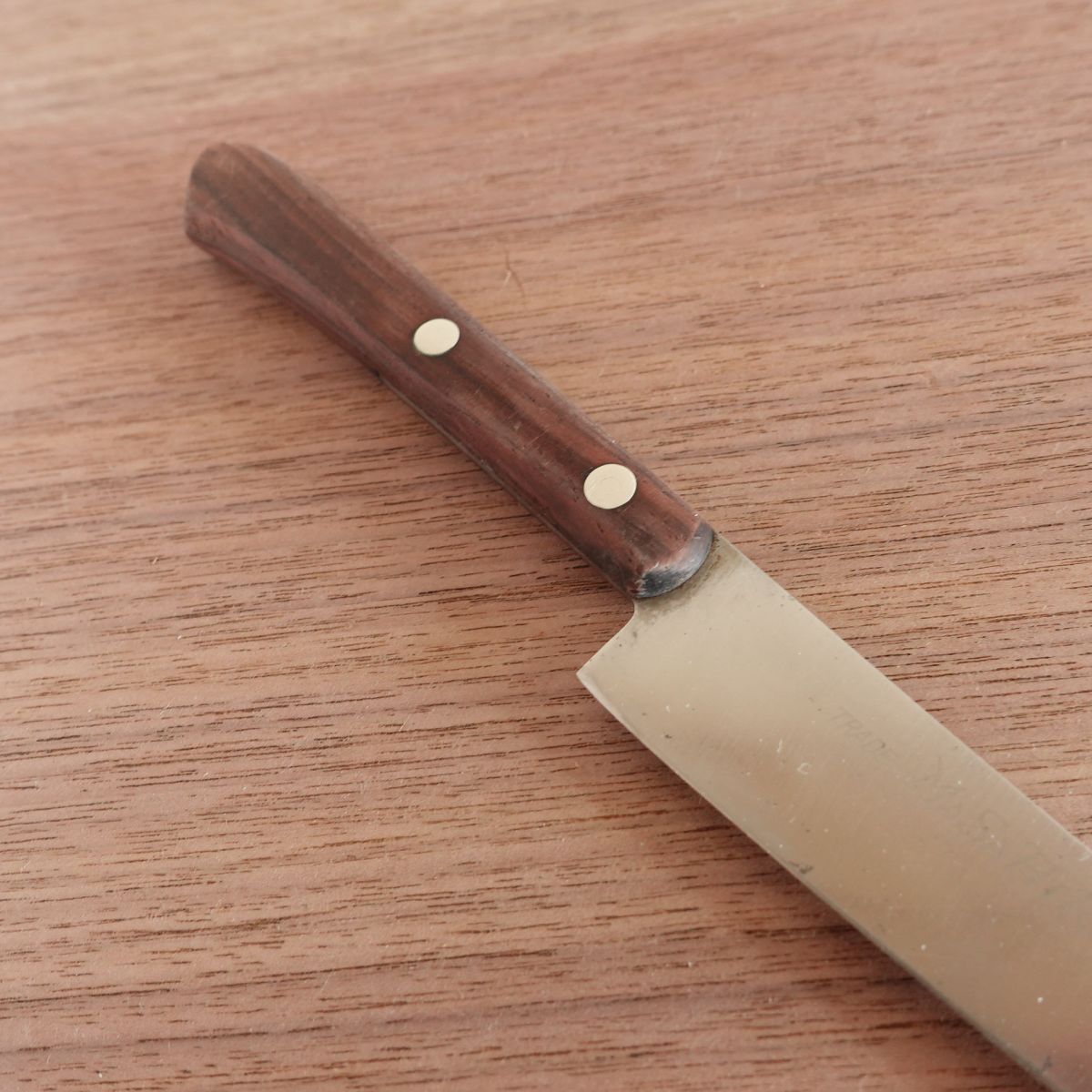 Masahiro Petty Knife, Sharpened, DAIDO Stainless, Fruit Knife, 120mm