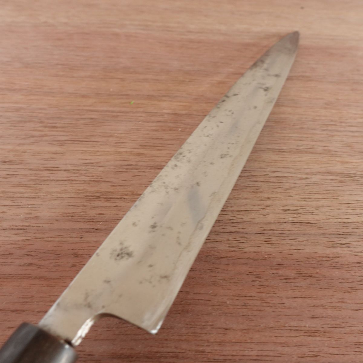 Sakai Sadamune Yanagiba Knife, Sharpened, Water Buffalo Handle, Custom Forged, Sashimi Knife, With Sakura Sticker, 240mm
