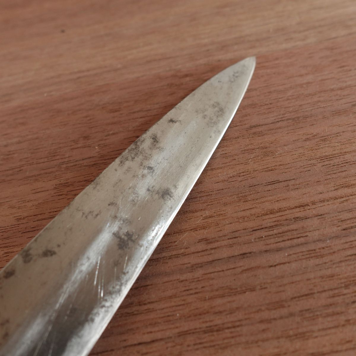 Sakai Sadamune Yanagiba Knife, Sharpened, Water Buffalo Handle, Custom Forged, Sashimi Knife, With Sakura Sticker, 240mm