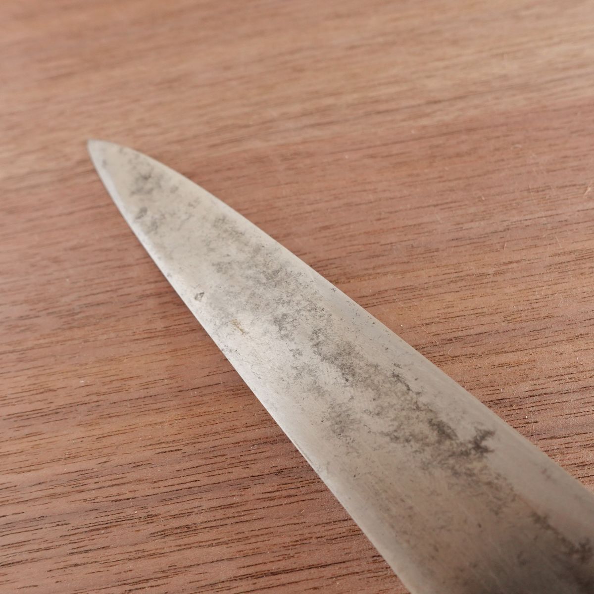 Sakai Sadamune Yanagiba Knife, Sharpened, Water Buffalo Handle, Custom Forged, Sashimi Knife, With Sakura Sticker, 240mm