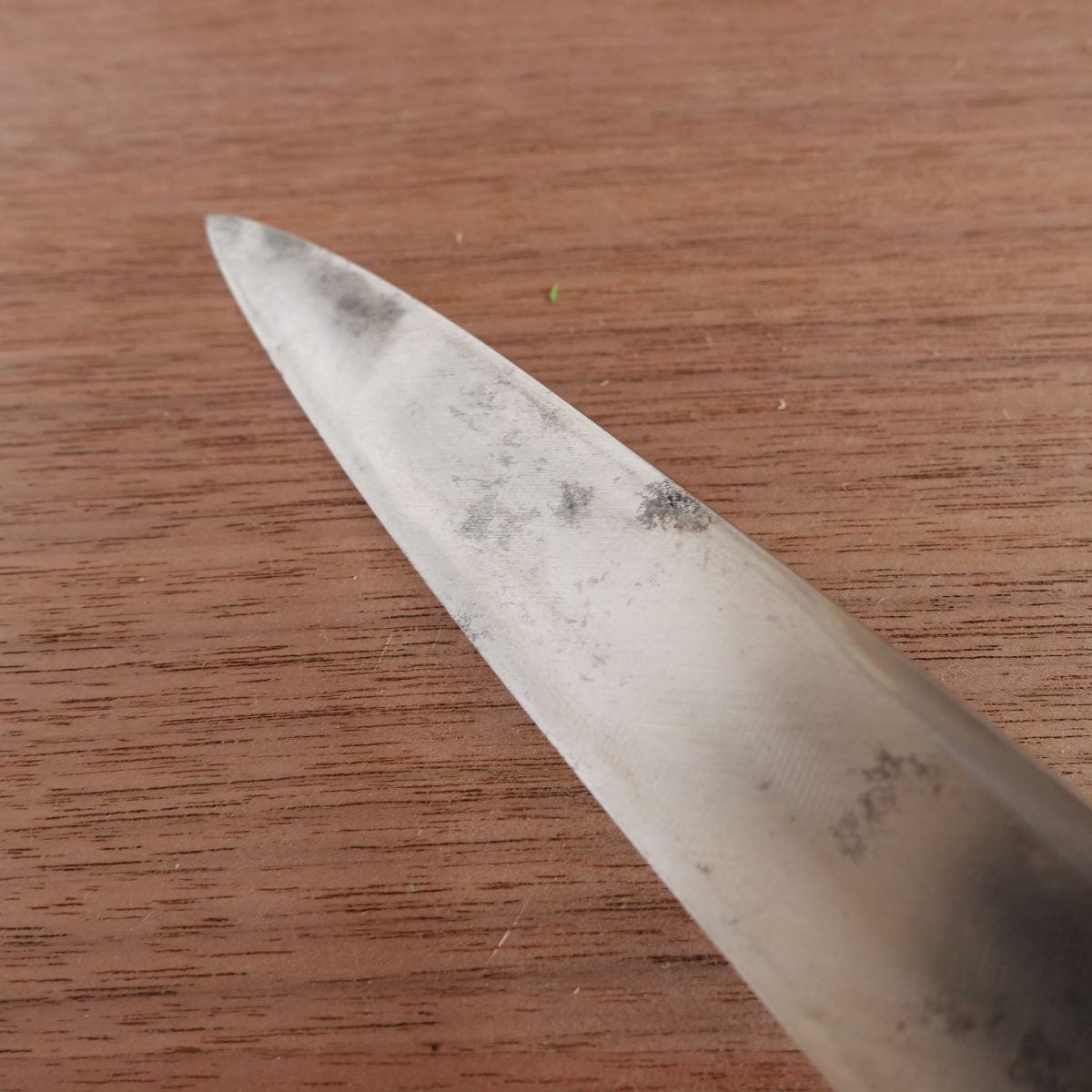 Seki Magoroku Yanagiba Knife, Sharpened, Shichiku Series, Water Buffalo Handle, Sashimi Knife, 180mm