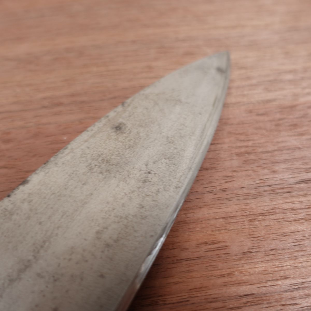 Masamoto Large Deba Knife, Sharpened, Water Buffalo Handle, Large Size, Carbon Steel, Single Bevel, 240mm