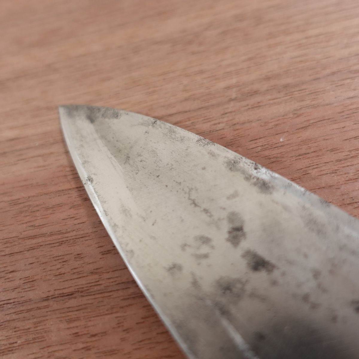 Kikuhide Deba Knife, Sharpened, Water Buffalo Handle, Sakai Kikuhide Hon-Tanren, Carbon Steel, Single Bevel, 150mm
