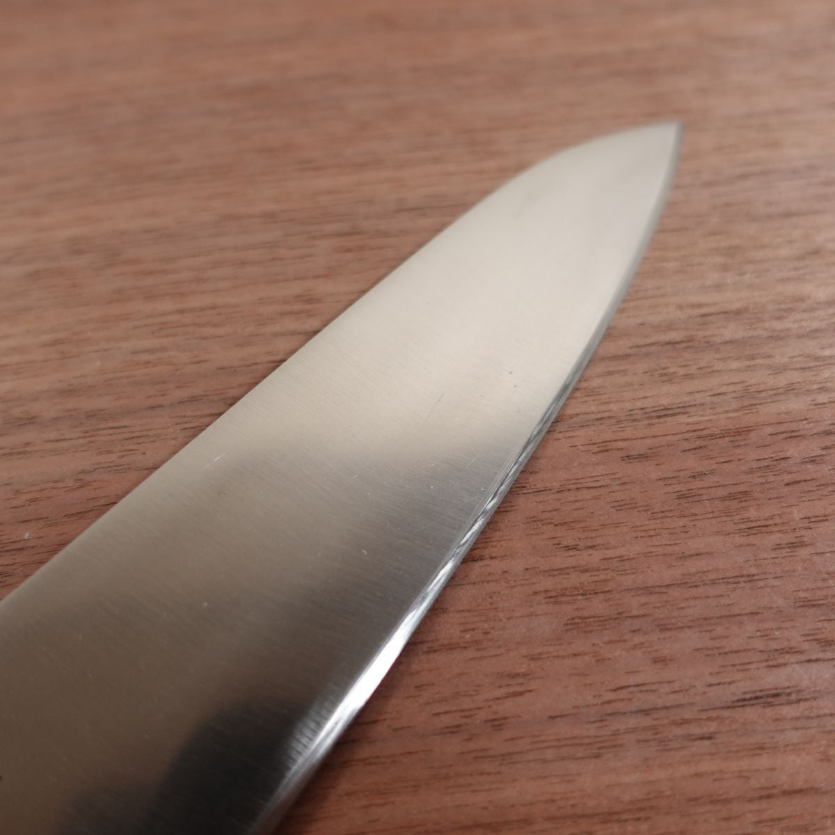 Jikko Gyuto Knife, Sharpened, H-INOX, Stainless Steel, All-Purpose Knife, 210mm