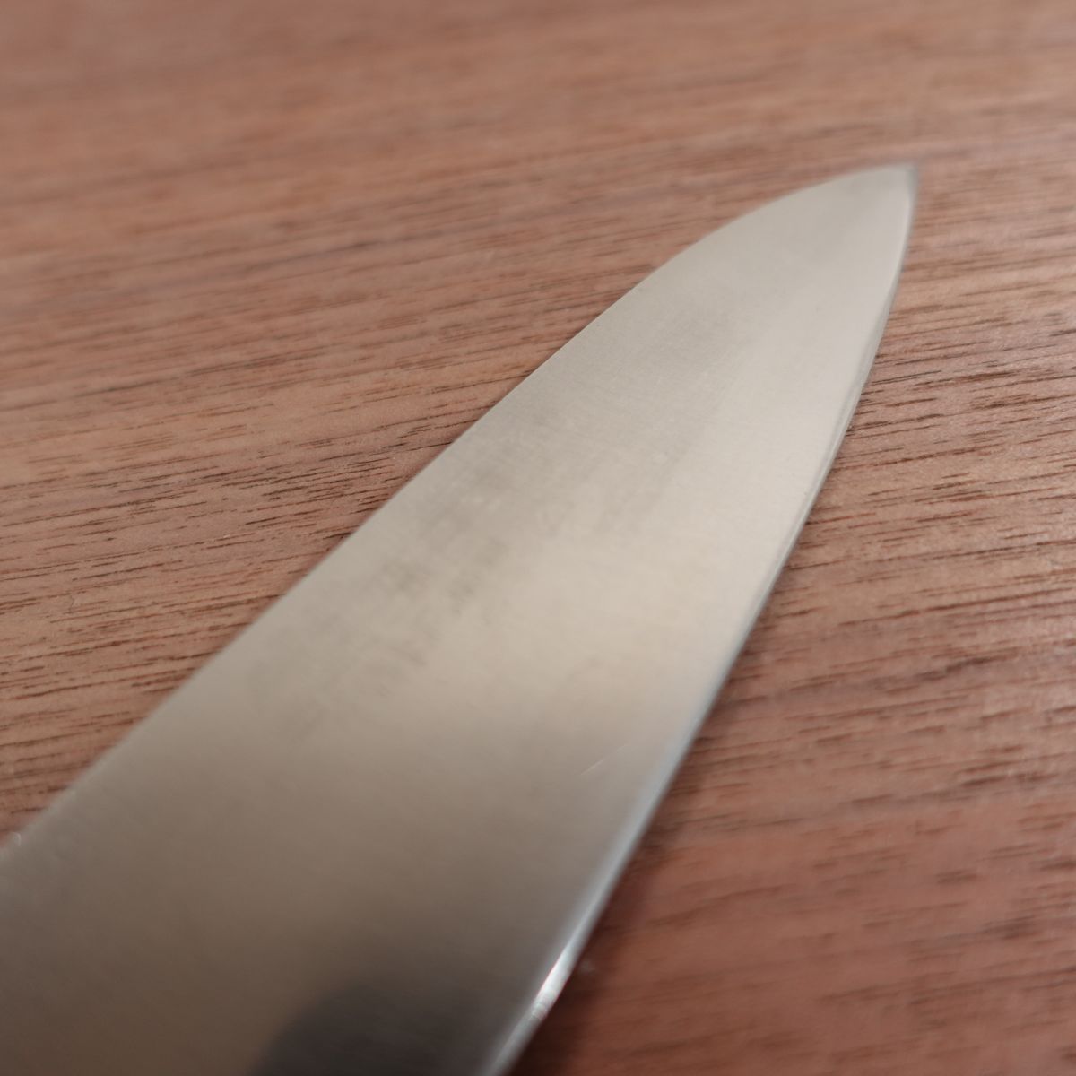 Masahiro Gyuto Knife, Sharpened, MSC-100, Stainless Steel, All-Purpose Knife, Daido Steel, 180mm