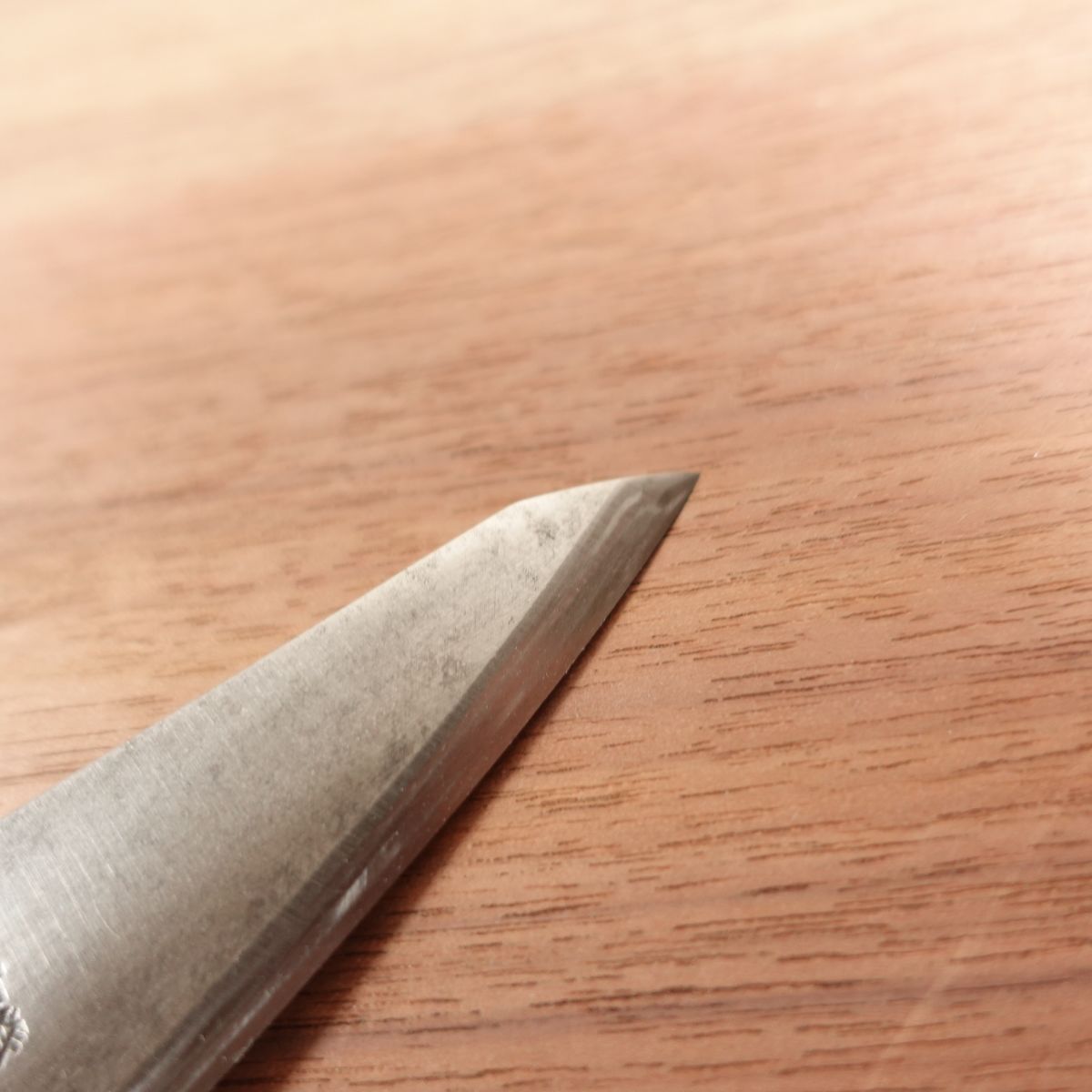 Minamoto Hiroaki Honesuki Sharpened Garasuki Sabaki Square Saijo 100mm