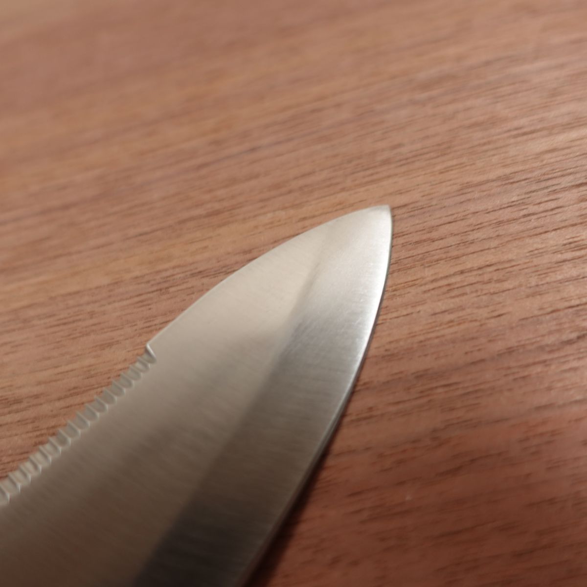 Tsuribito Aji-Kiri Knife, Sharpened, Double Bevel, Stainless Steel, Serrated, Sheath Included, Ko-Deba Knife, 100mm