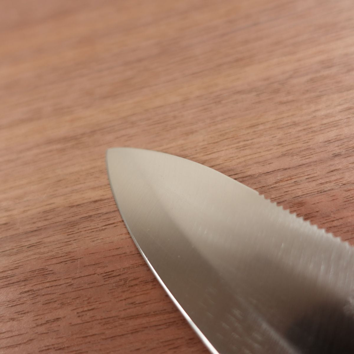 Tsuribito Aji-Kiri Knife, Sharpened, Double Bevel, Stainless Steel, Serrated, Sheath Included, Ko-Deba Knife, 100mm