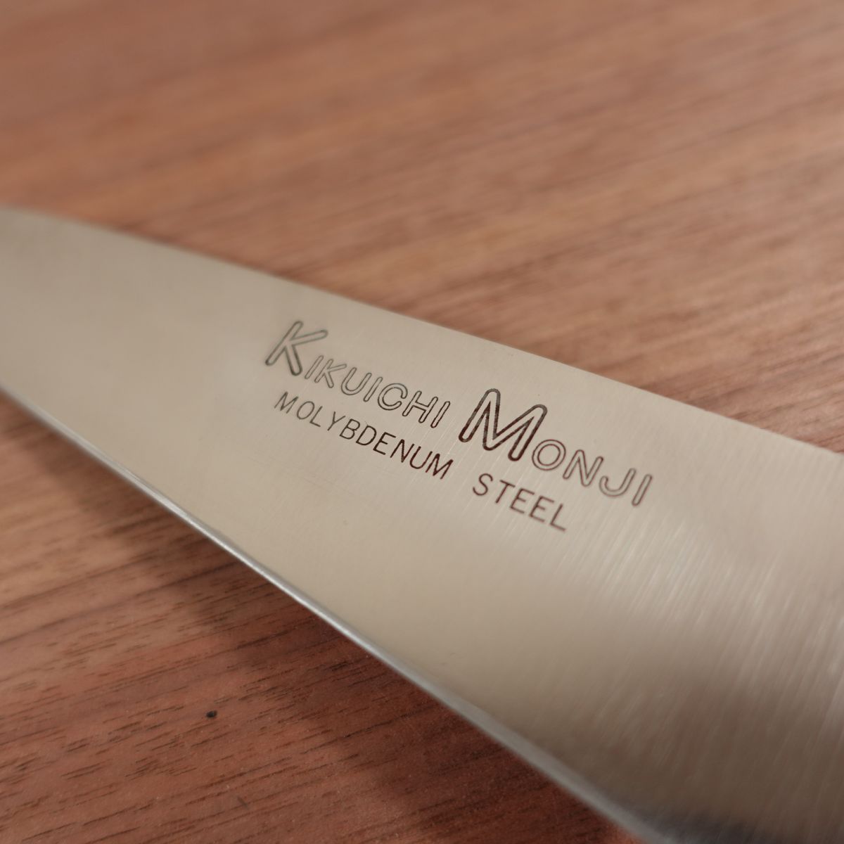 Kikuichi Monji Gyuto Knife, Sharpened, All-Purpose Knife, Molybdenum Stainless Steel, 190mm