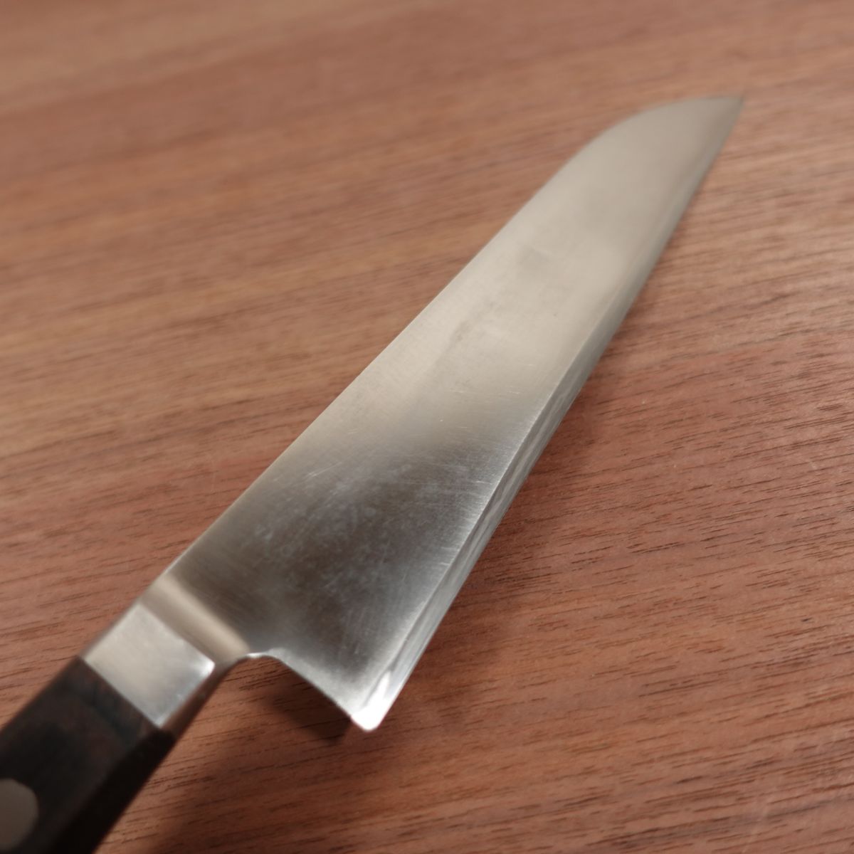 KIYA RUGBY Gyuto Knife, Sharpened, Stainless Steel, All-Purpose Knife, Straight Edge, Slightly Single Bevel, 180mm