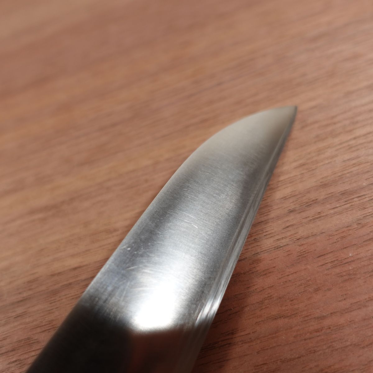 KIYA RUGBY Gyuto Knife, Sharpened, Stainless Steel, All-Purpose Knife, Straight Edge, Slightly Single Bevel, 180mm