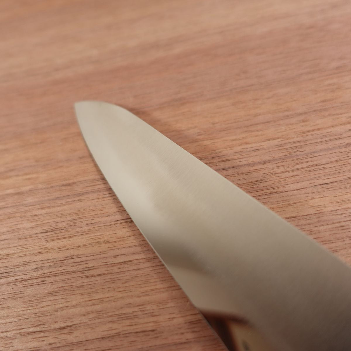 [HYPER REBORN] Kakuma Gyuto Knife, Sharpened, Mirror Finish, All-Purpose Knife, Stainless Steel, Honzuke, 180mm
