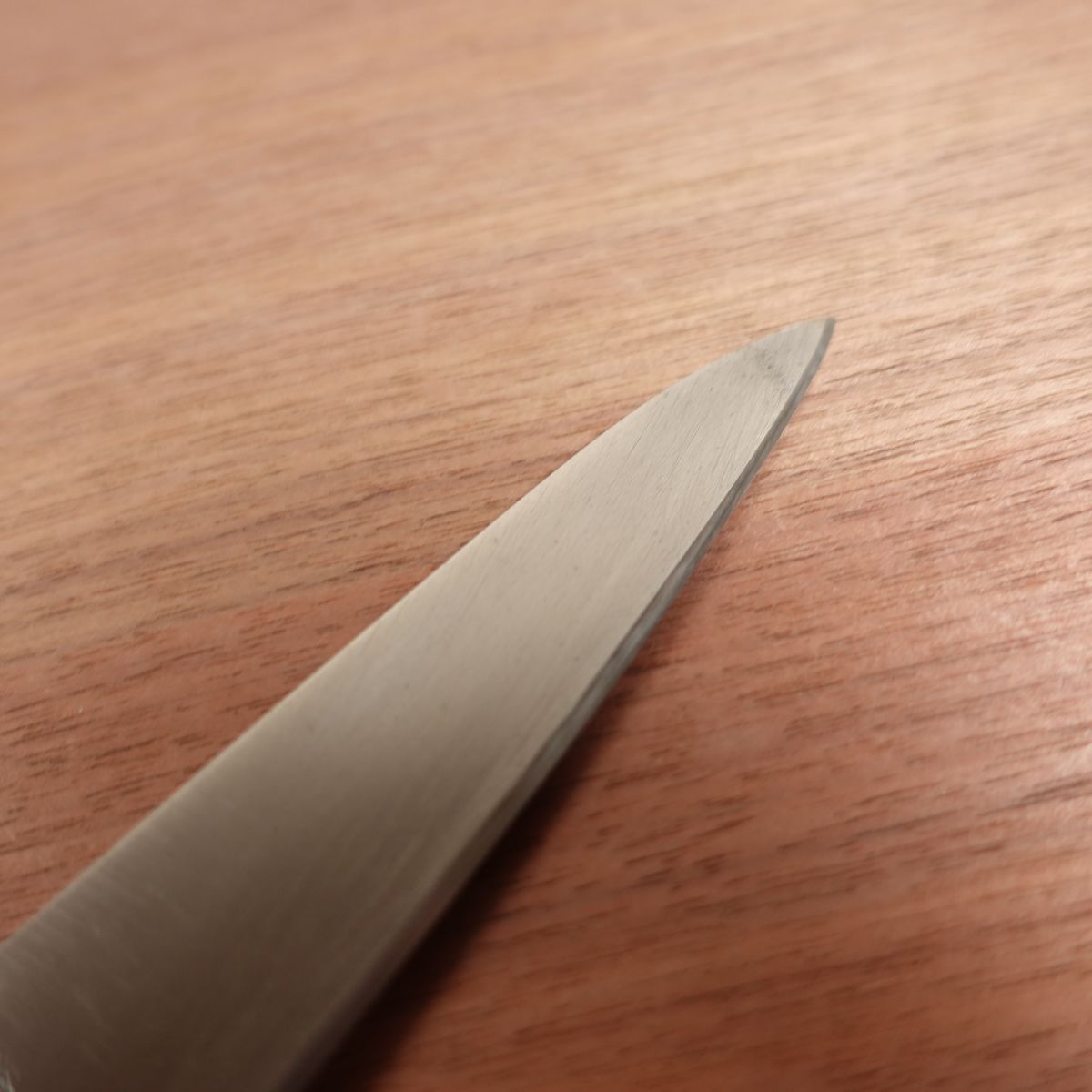 Sakai Kikutora Gyuto Utility Petty All-Purpose Knife Stainless Steel 170mm